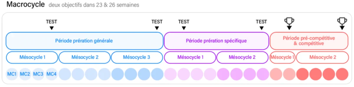 macro cycles