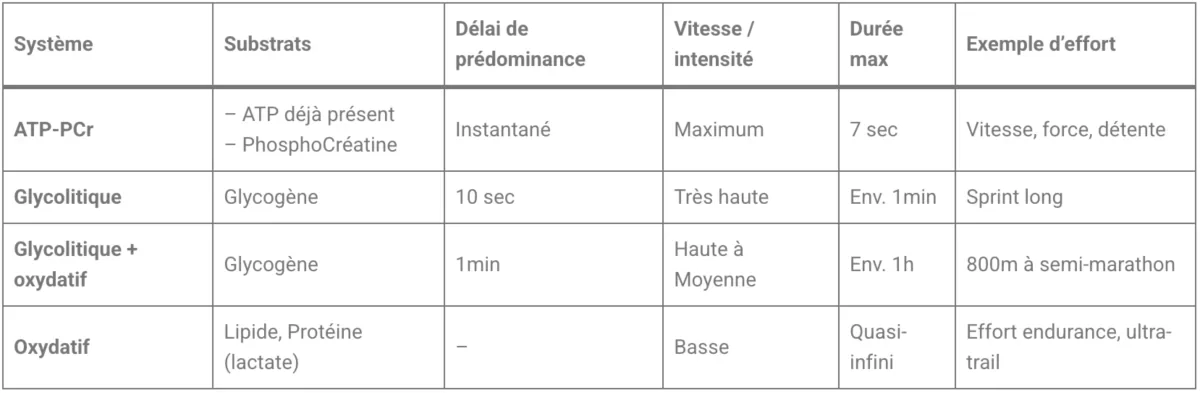 Capture d’écran 2026 03 23 à 17.54.24