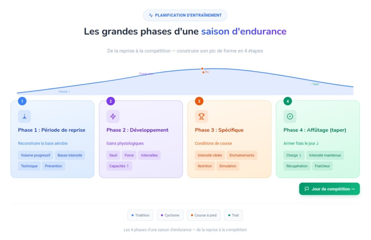 Schéma Périodisation d'une saison d'entraînement en endurance avec les phases reprise, développement, spécifique et affûtage